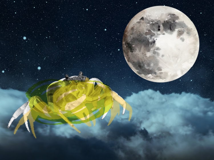 Pleine Lune en Cancer 2025 – et lectures du Tarot pour chaque signe du zodiaque