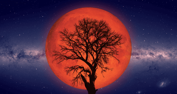 Éclipse lunaire dans Virgo 2025 - et lectures de tarot pour chaque signe du zodiaque