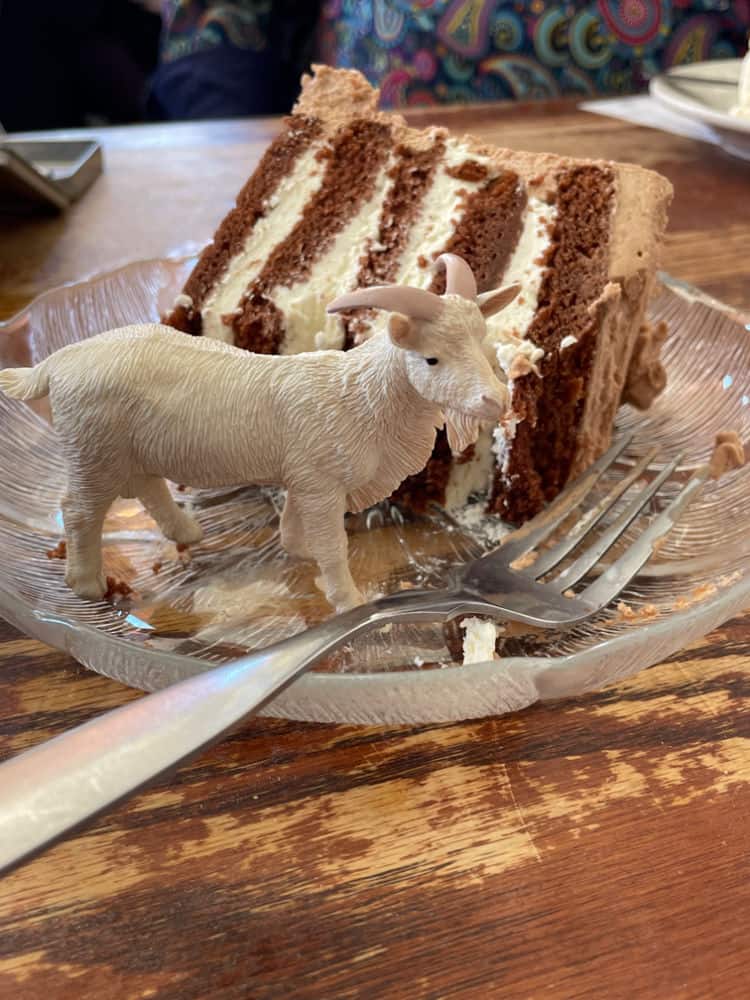 Benny la chèvre a son gâteau et le mange aussi