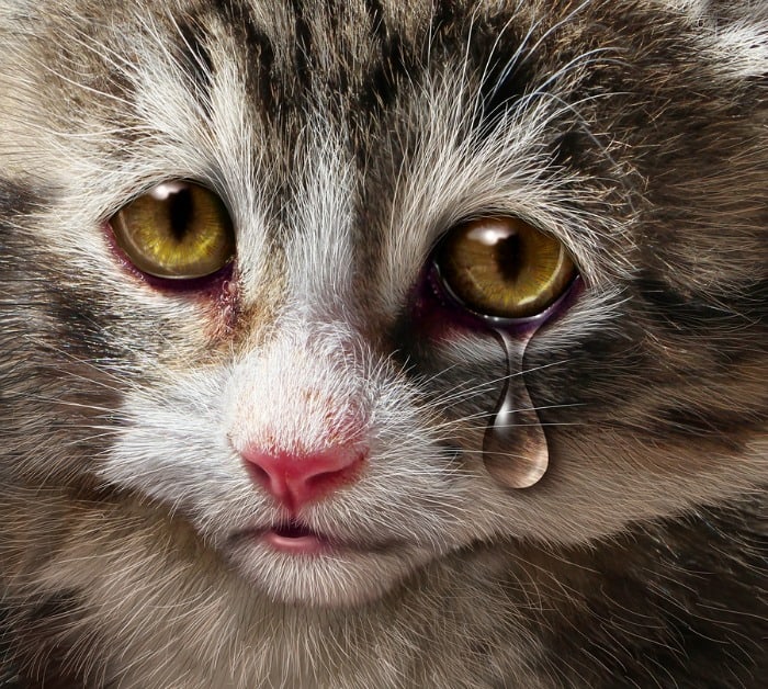The Hit List – You Don’t Have To Be Cruel To Be Kind
