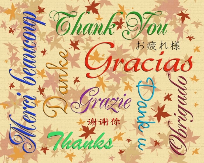 Gratitude danke thanks merci grazie arigato, etc