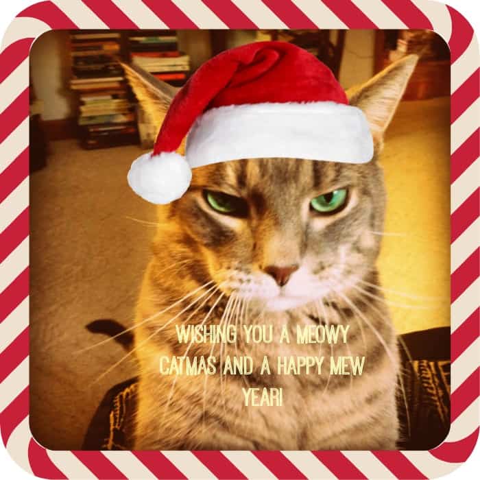 Merry Christmas!