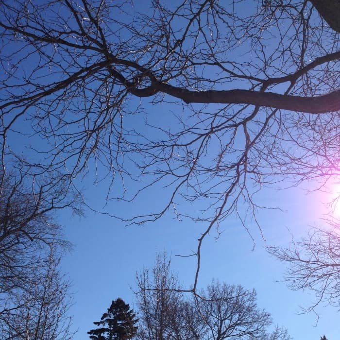 The Hit List – Relentless Winter