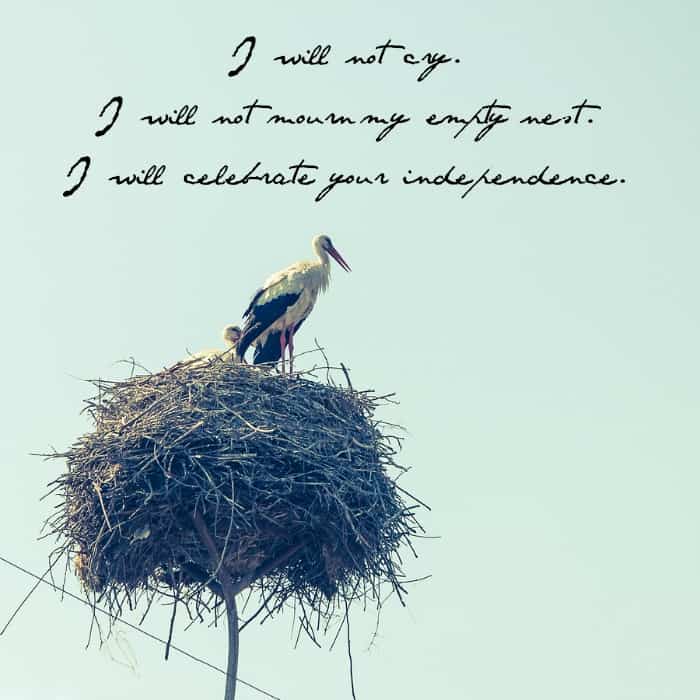 The Hit List – I will not cry