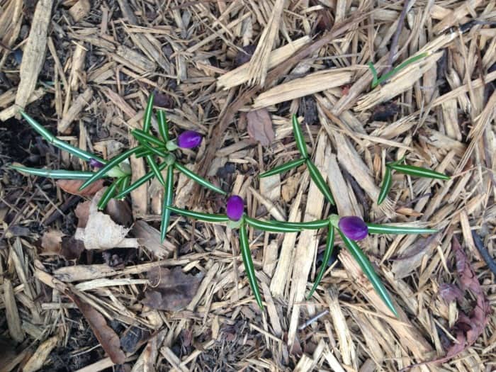 The Hit List – Spring cleaning