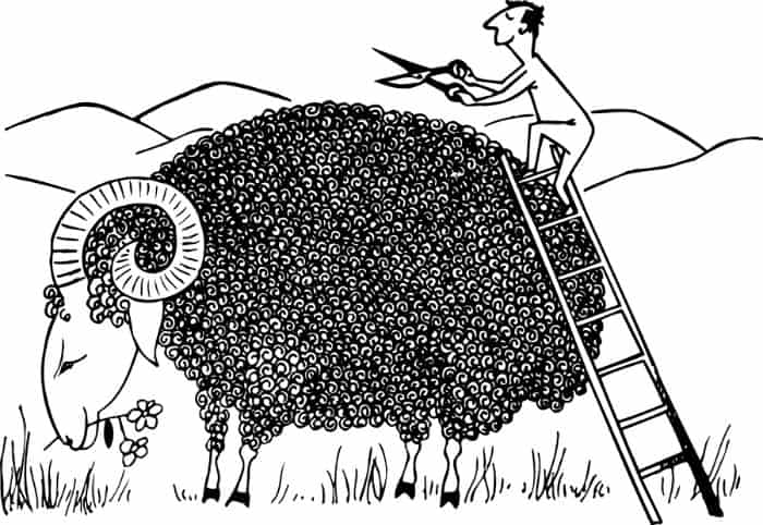 The Hit List – Shorn