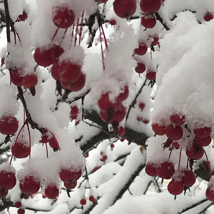 The Hit List - First snowfall