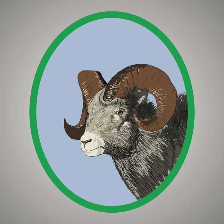 New Moon in Aries 2020 - and Tarot Readings for Each Zodiac Sign