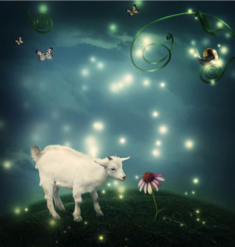 New Moon in Capricorn 2021- and Tarot Readings for Each Zodiac Sign
