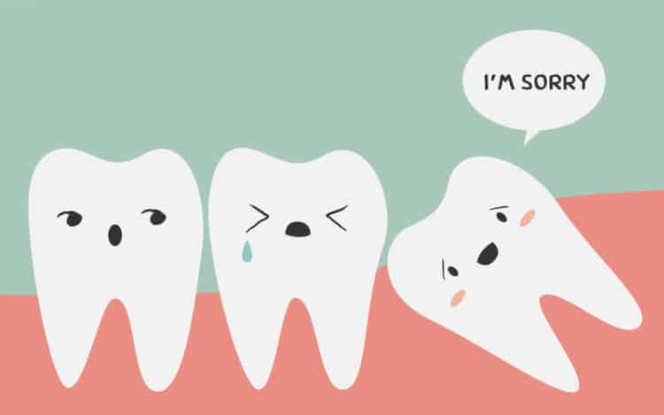 The Hit List - Wisdom teething