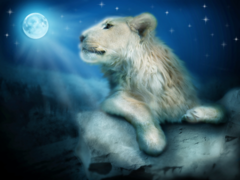 Full Moon in Leo 2024 - and Tarot Readings for Each Zodiac Sign - The ...