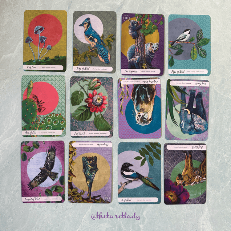 Full Moon in Scorpio 2025 - and Tarot Readings for Each Zodiac Sign
