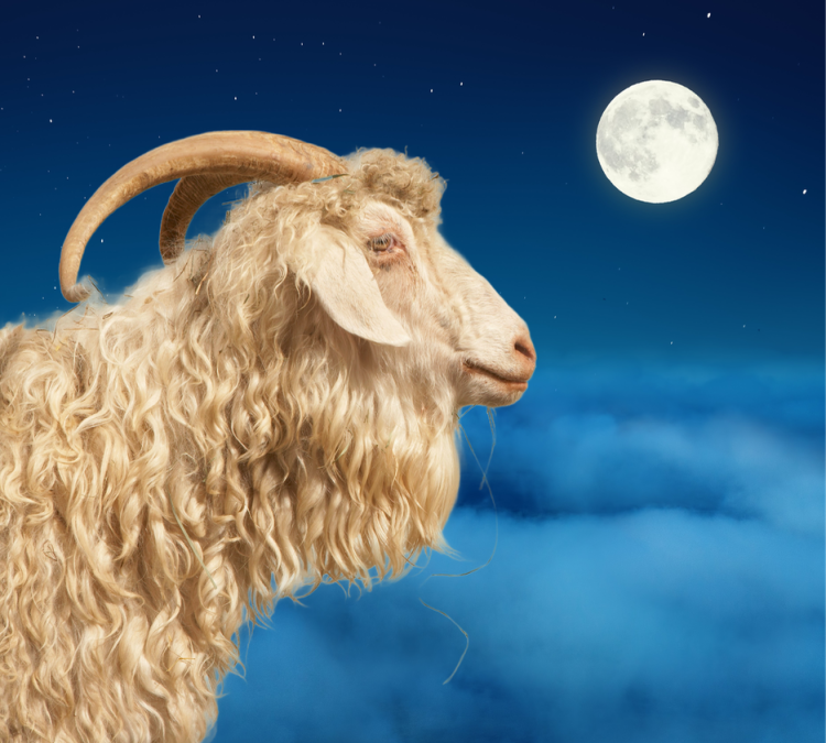 The Full Moon in  Capricorn 2025 – and Tarot Readings for Each Zodiac Sign