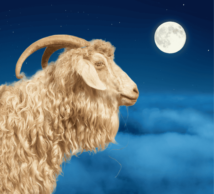 The Full Moon in Capricorn 2025 - and Tarot Readings for Each Zodiac Sign