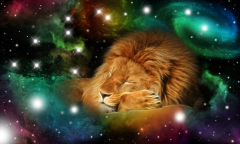 New Moon in Leo 2025 - and Tarot Readings for Each Zodiac Sign - The ...