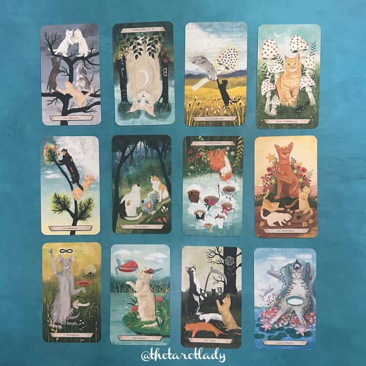 New Moon in Leo 2025 - and Tarot Readings for Each Zodiac Sign