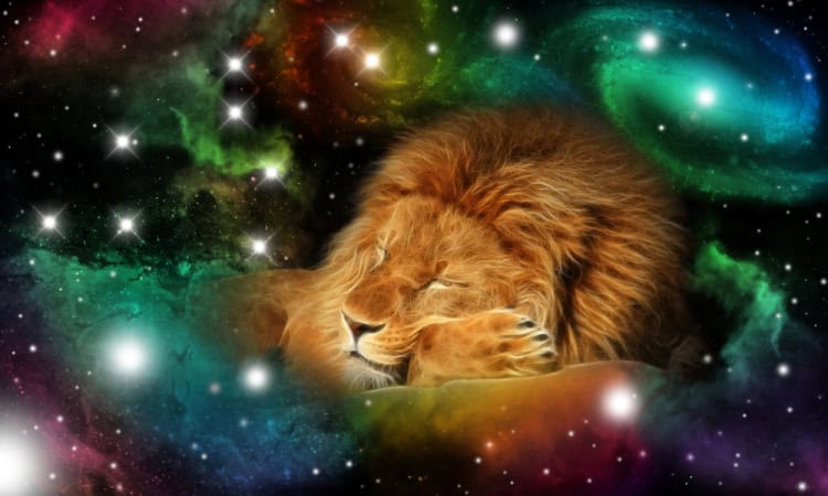 New Moon in Leo 2025 - and Tarot Readings for Each Zodiac Sign