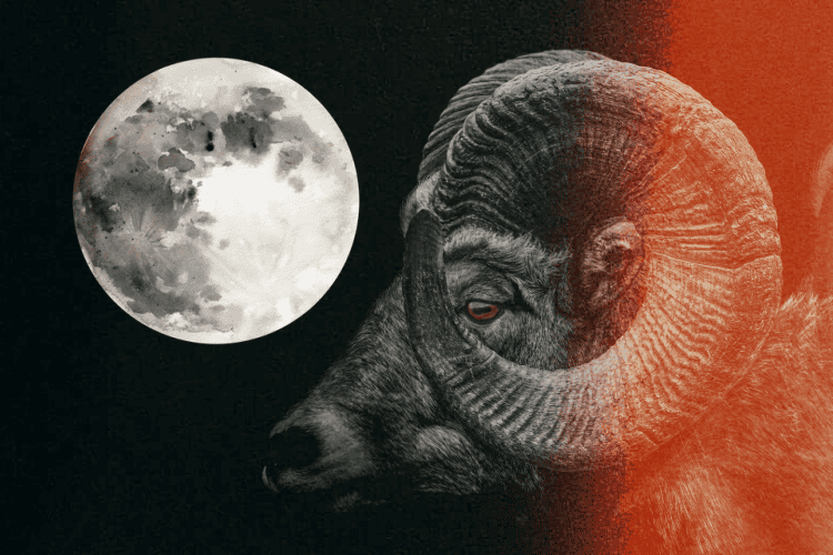 Full Moon in Aries 2025 – and Tarot Readings for Each Zodiac Sign