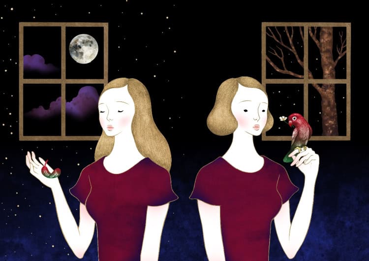 Full Moon in Gemini 2025 - and Tarot Readings for Every Zodiac Sign