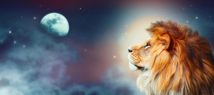 Full Moon in Leo 2026 - and Tarot Readings for Every Zodiac Sign
