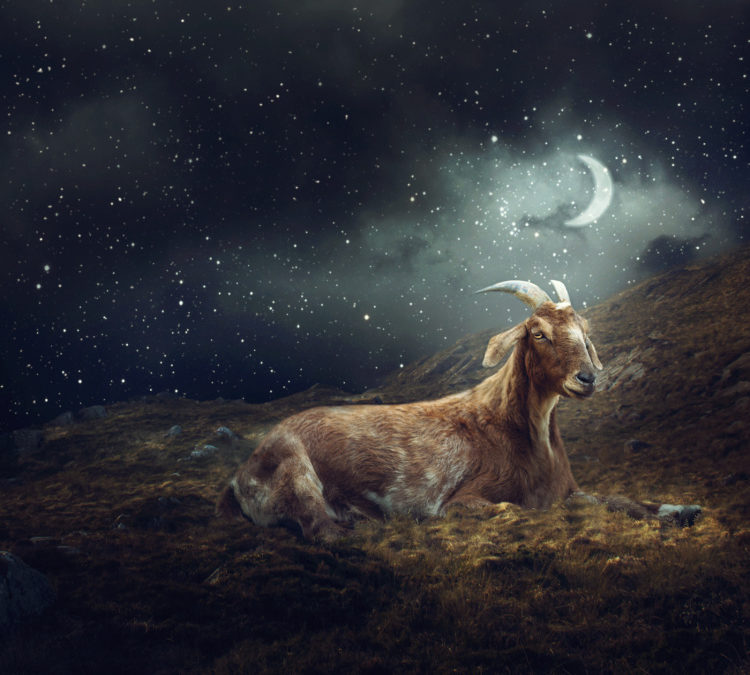 New Moon in Capricorn 2026 – and Tarot Readings for Every Zodiac Sign