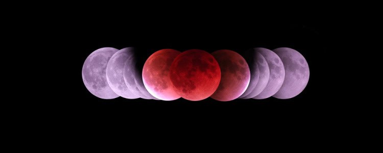 Lunar Eclipse in Virgo 2026 - and Tarot Readings for Every Zodiac Sign
