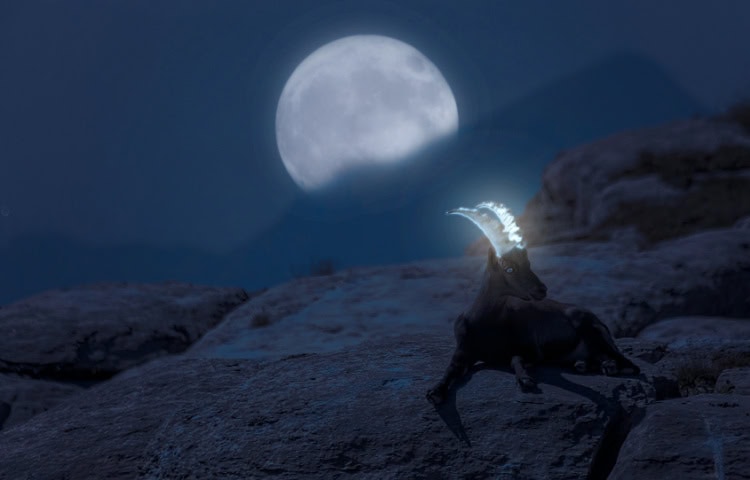 The Full Moon in Capricorn 2026 - and Tarot Readings for Every Zodiac Sign