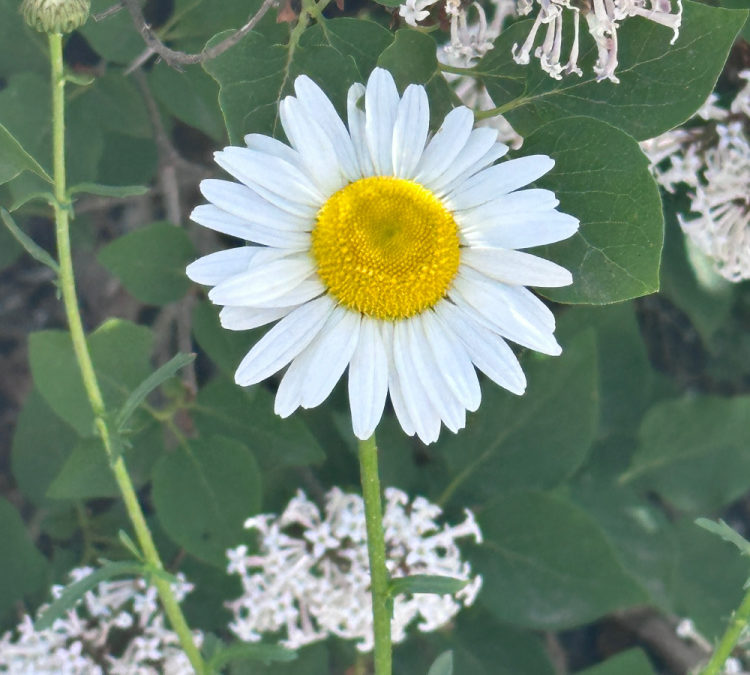 The Hit List – Summer is coming
