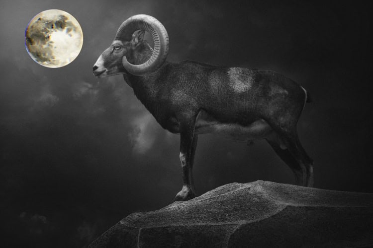 Full Moon in Aries 2026 - and Tarot Readings for Every Zodiac Sign