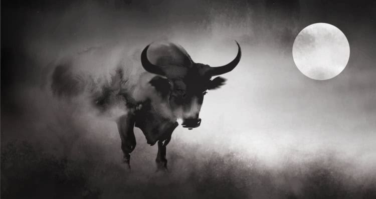 Full Moon in Taurus 2026 - and Tarot Readings for Every Zodiac Sign